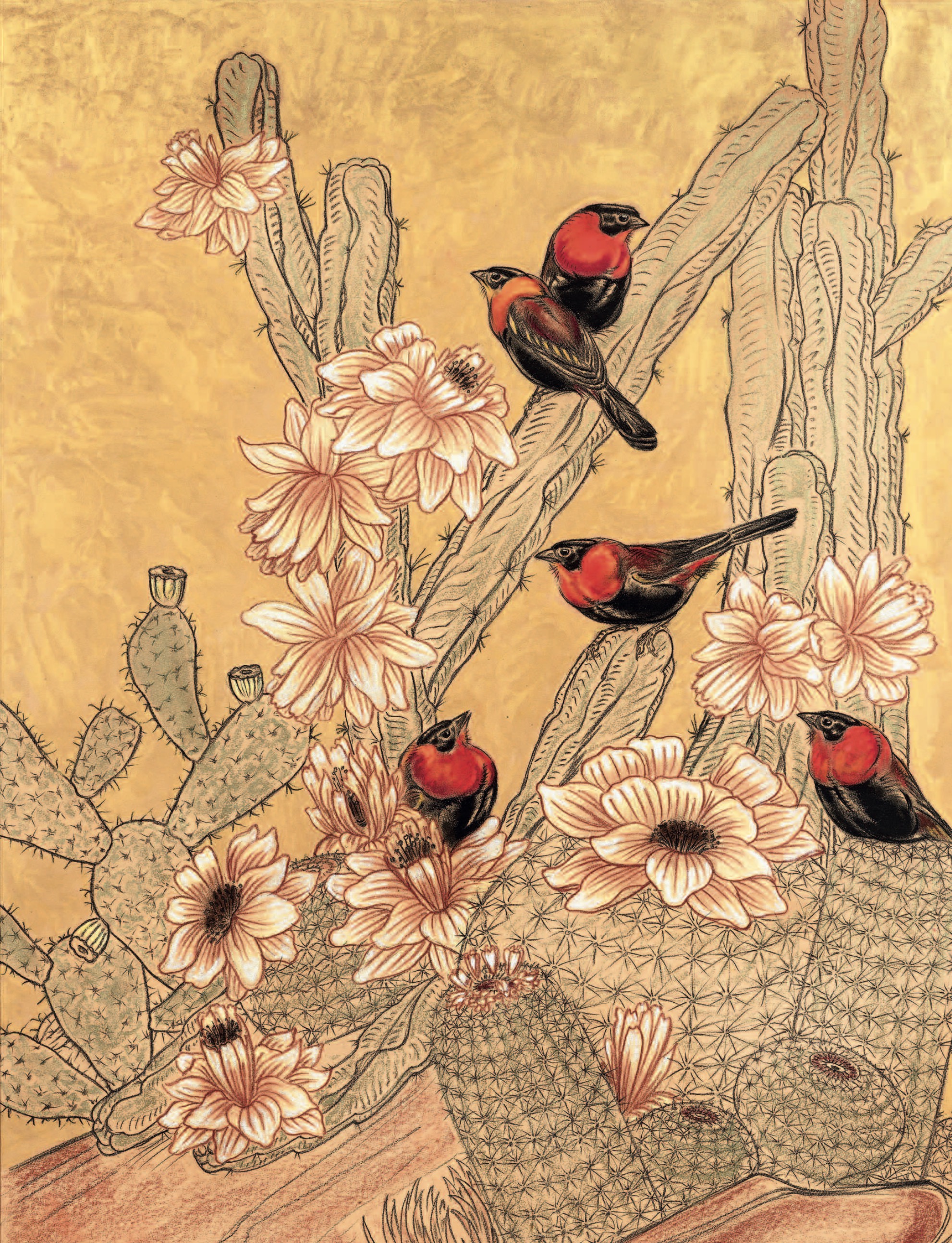 Ignicolores dans les cactées en fleurs.